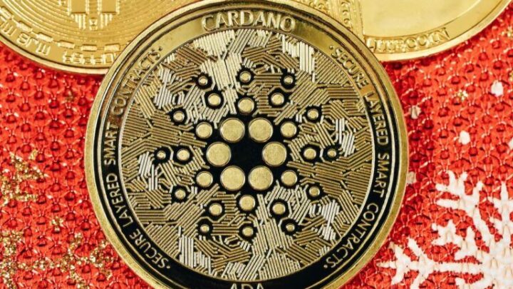 $ADA Whale: ‘Post Crypto Recession, Cardano Will Be One of Fastest Chains’