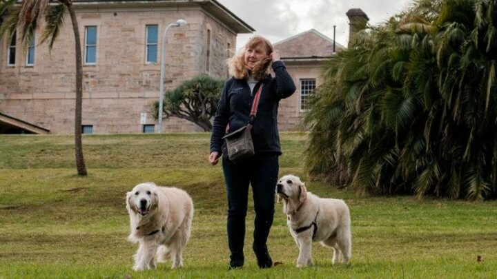 Callan Park gone to the dogs as off-leash areas set to come into effect