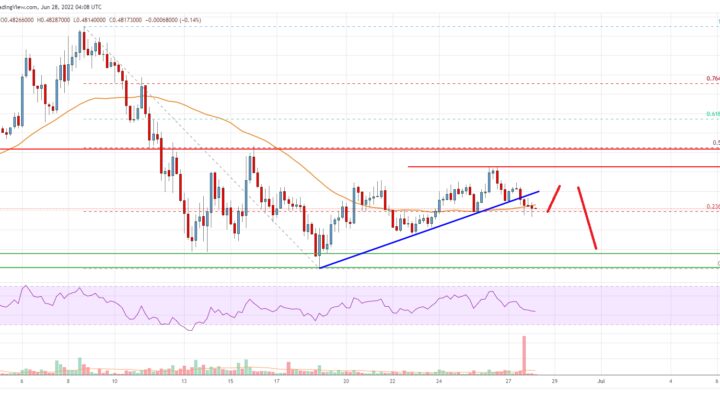 Cardano (ADA) Price Analysis: Key Resistance Intact Near $0.52