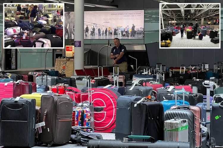 Heathrow in chaos as suitcases ABANDONED across terminal and fuming passengers forced to miss flight connections | The Sun