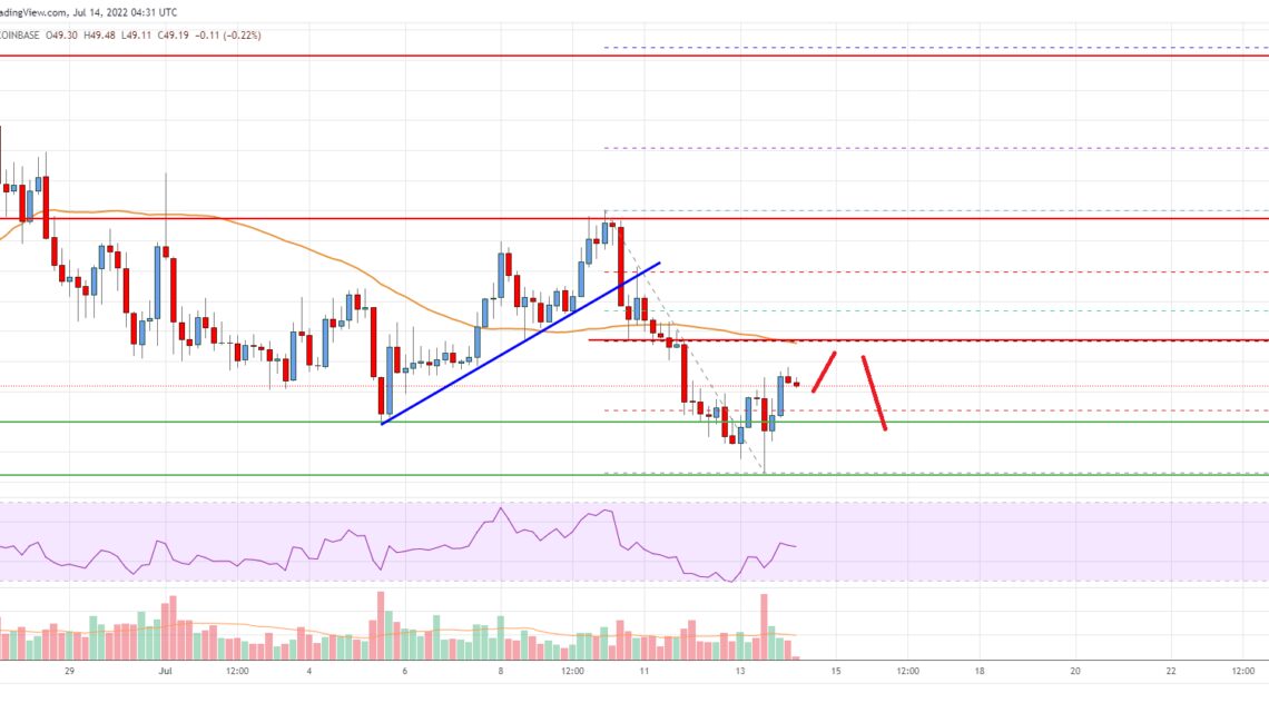 Litecoin (LTC) Price Analysis: Recovery Possible If It Clears $50