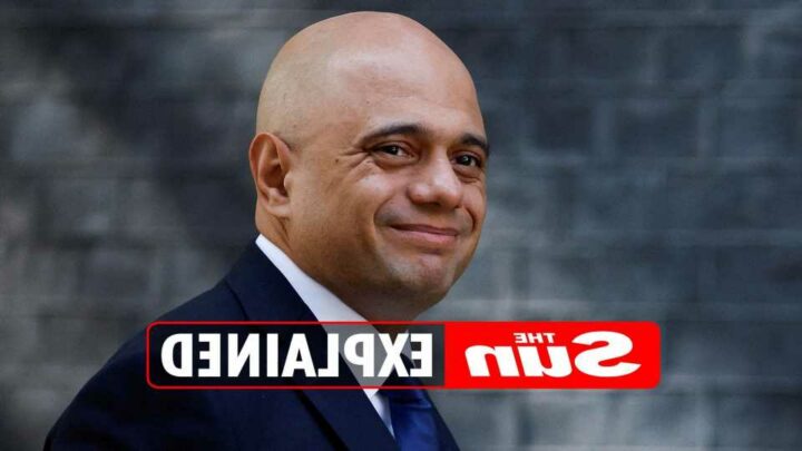 Why did Sajid Javid resign as Health Secretary? – The Sun | The Sun