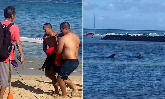 Woman bitten by monk SEAL in Hawaii after ignoring calls to avoid area