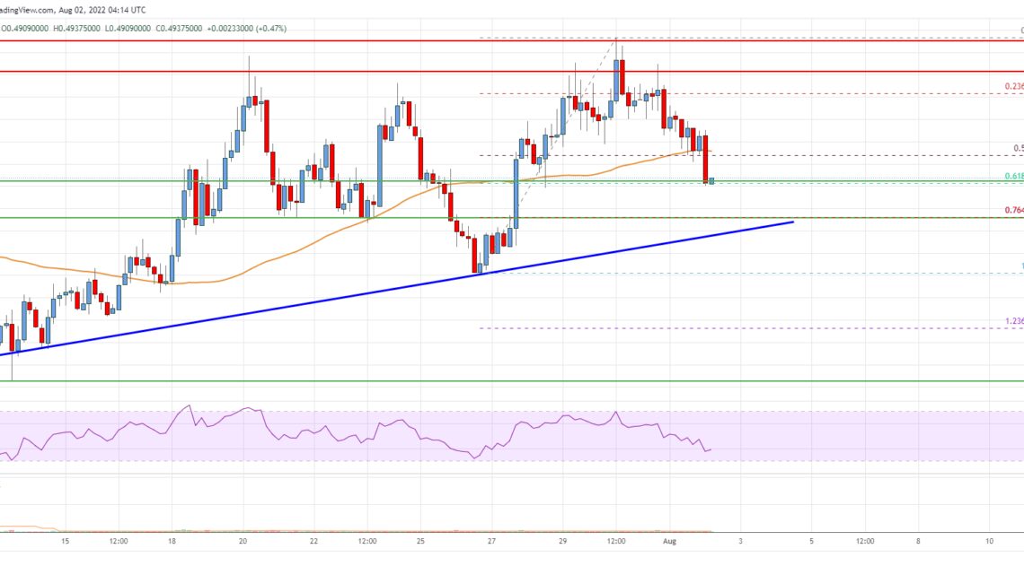 Cardano (ADA) Price Analysis: Can This Key Support Holds Losses?