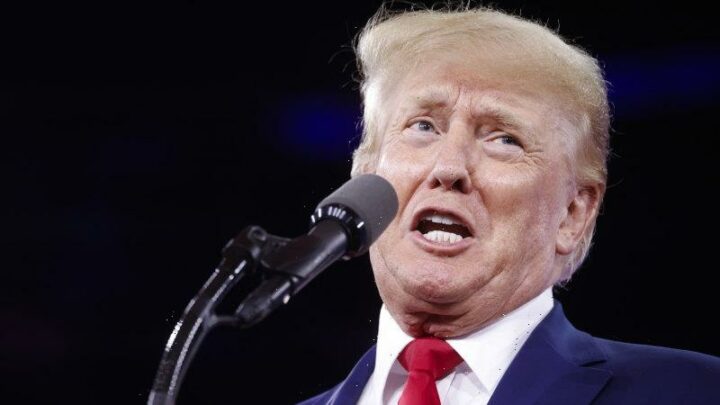 Donald Trump’s voters will lap up tale of unjust persecution by FBI
