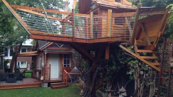 I built a £20,000 treehouse but a neighbour complained and council ordered me tear it down…  my kids were in tears | The Sun I built a £20,000 treehouse but a neighbour complained and council ordered me tear it down…  my kids were in tears | The Sun