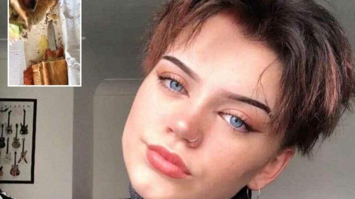 I'm pregnant and I was shocked to find a huge KNIFE inside my Subway sandwich – I want an apology | The Sun
