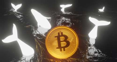 Have Bitcoin Whales Started Buying Again?