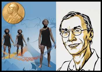 Svante Pääbo Wins Nobel Prize For Discoveries Concerning Extinct Hominins’ Genomes, Human Evolution