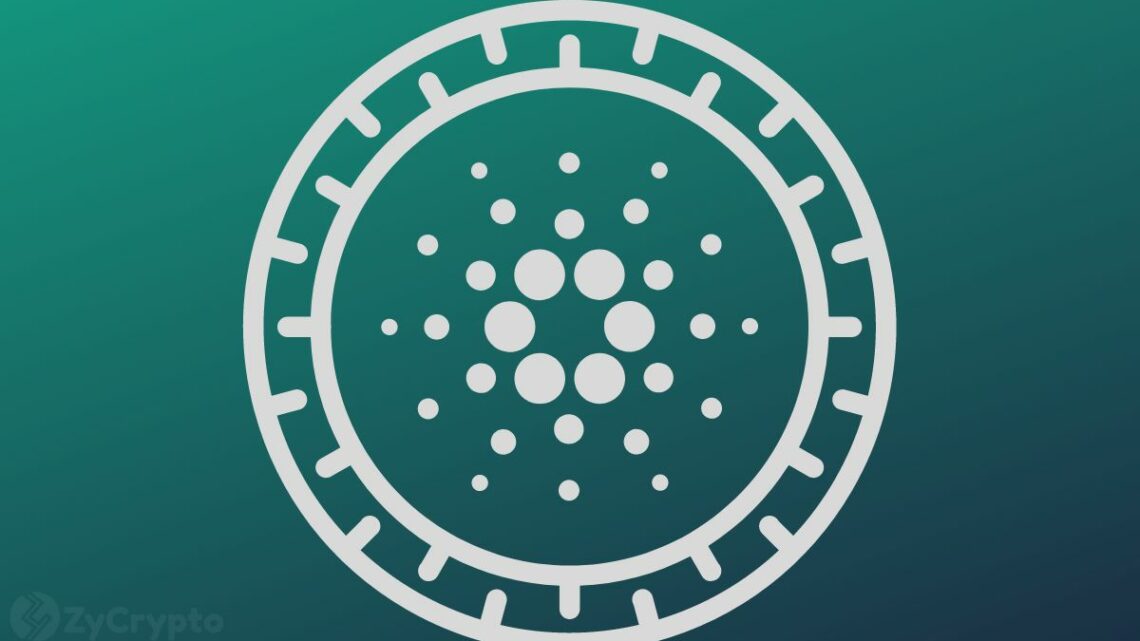 Cardano Reigns As The Most Developed Crypto Asset As ADA Leaps Forward