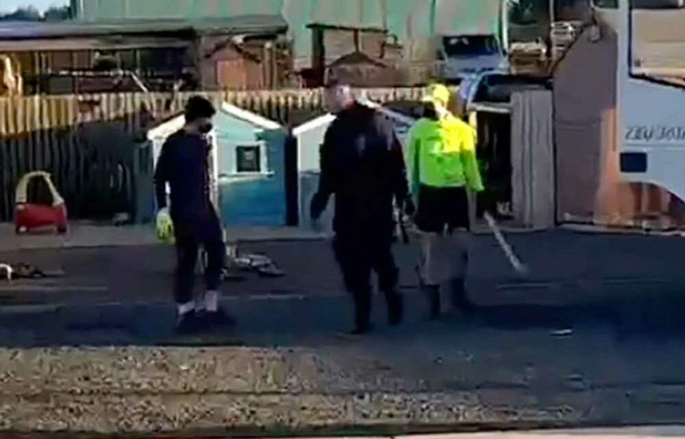 Shocking moment thugs wielding machetes attack man as screams echo through travellers' park | The Sun