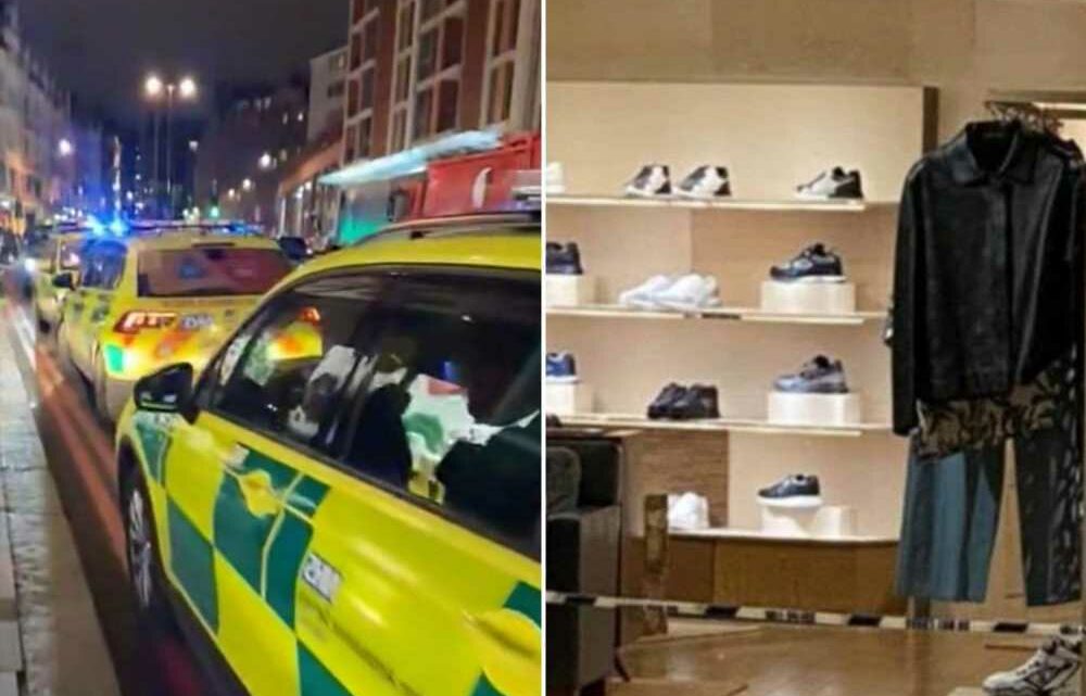 Horrified shoppers step in 'pools of blood' after man slashed inside Harrods by thugs 'trying to steal designer watch' | The Sun