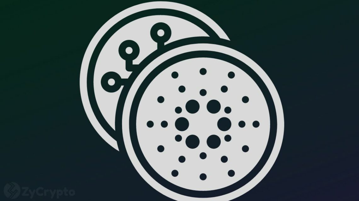 What To Expect As Cardano-Based Overcollateralized Stablecoin Djed Is Set To Go Live