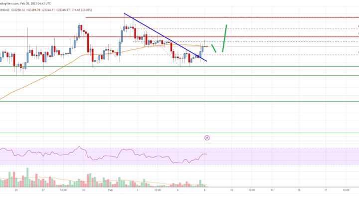 Bitcoin Price Analysis: BTC Remains Supported For More Upsides