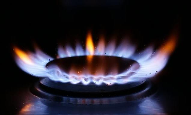 British Gas is banned from force-fitting prepayment meters