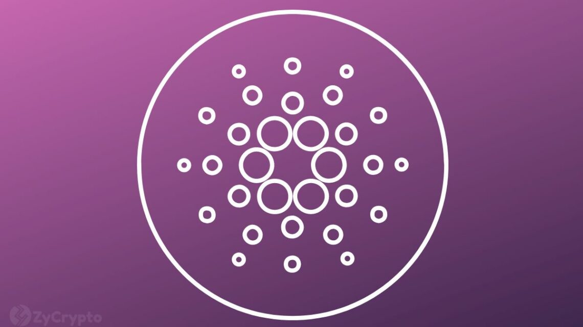 Cardano-Based Djed Stablecoin Attracts Over 30M ADA In the First Week Since Launch Cardano-Based Djed Stablecoin Attracts Over 30M ADA In the First Week Since Launch