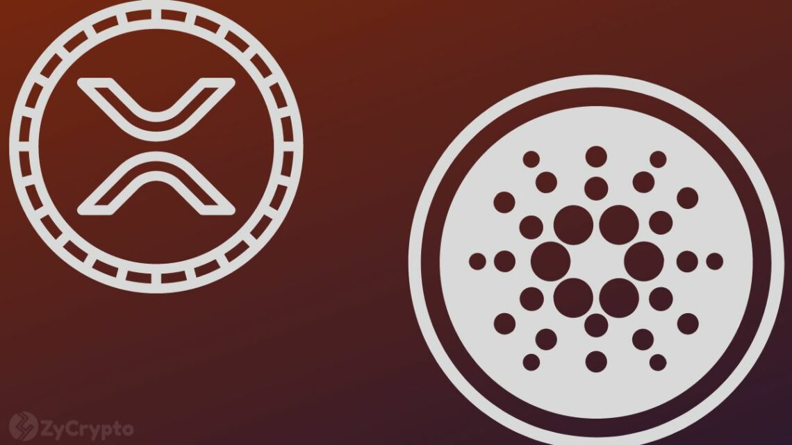 Cardano and XRP Massively Overvalued? Pundit Torches ‘Completely Utterly Useless’ ADA, XRP Markets Cardano and XRP Massively Overvalued? Pundit Torches ‘Completely Utterly Useless’ ADA, XRP Markets