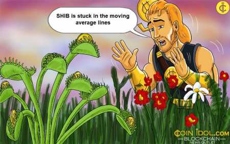 Shiba Inu Sinks, But Moves In A Bandwidth