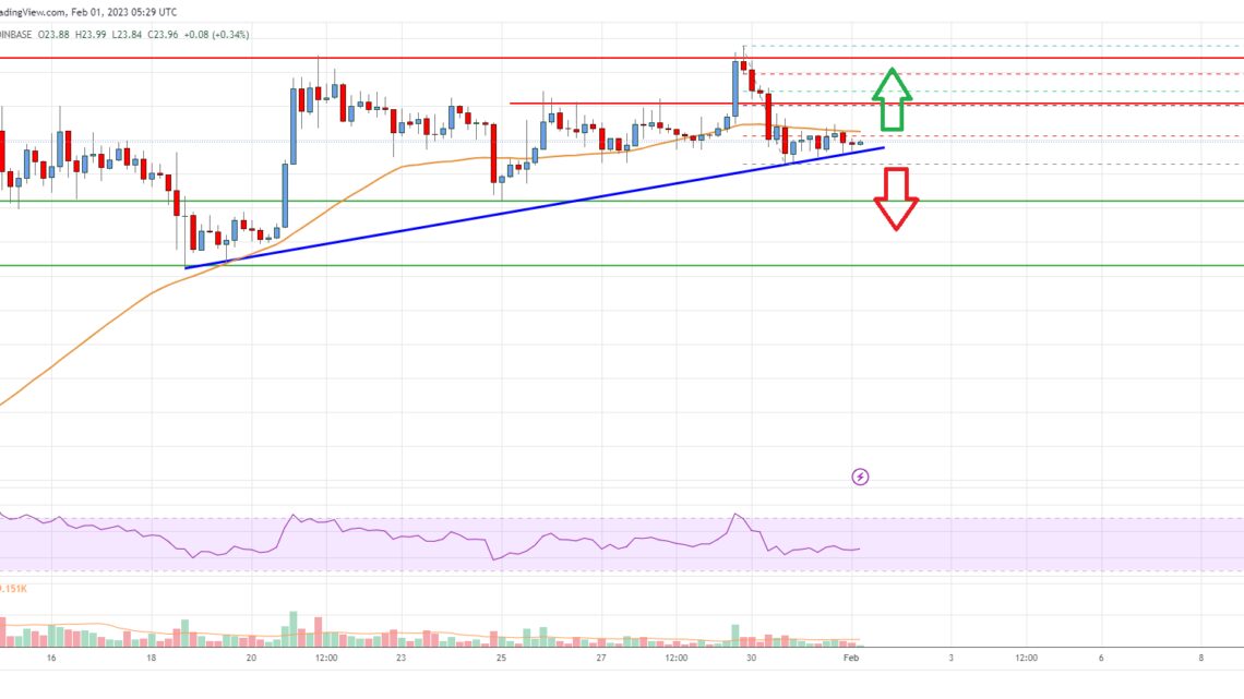 Solana (SOL) Price Analysis: Bulls Aim Upside Break above $25