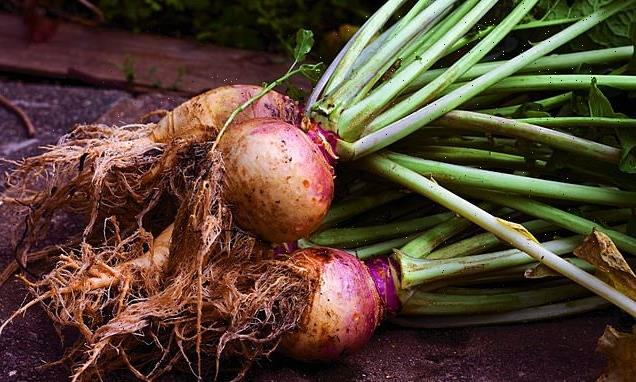 Therese Coffey tells families to buy British veg to battle shortages