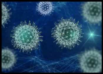 Covid Cases, Hospitalizations Fall Nationwide In Last 2 Weeks