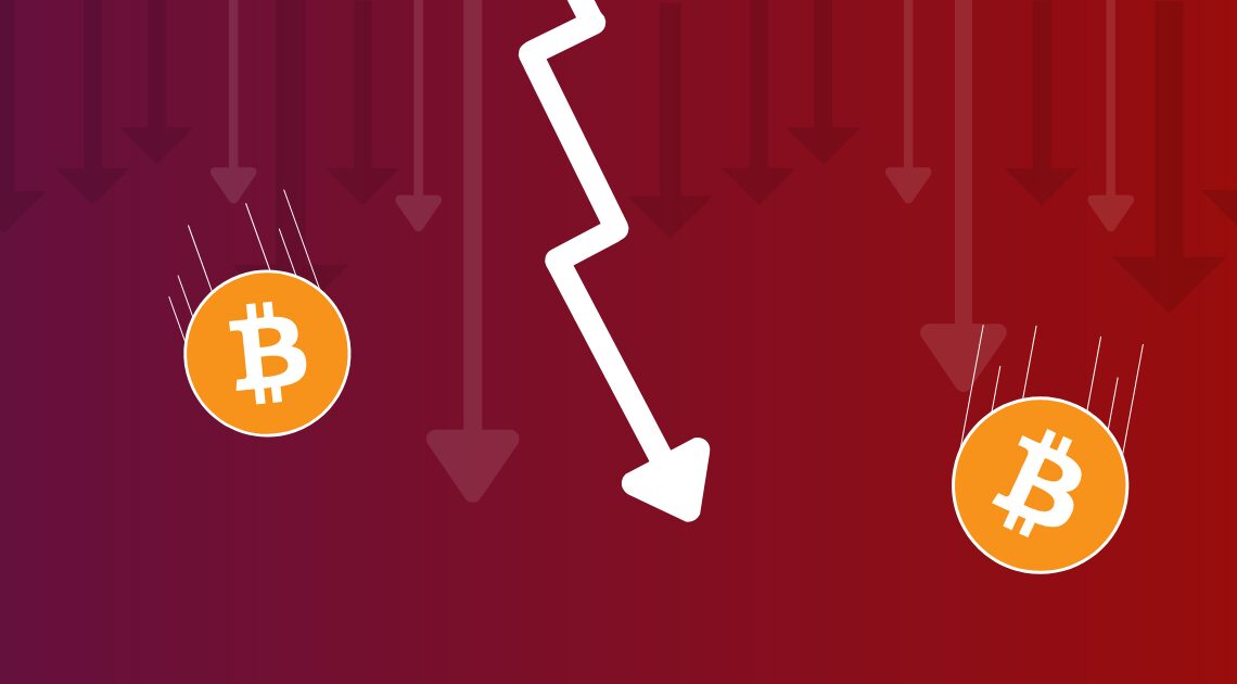 Crypto Market News: Buckle Up for More Volatility Ahead, Whales Activity on the Rise! – Coinpedia Fintech News