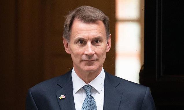 DAILY MAIL COMMENT: Hunt&apos;s mission is to supercharge growth