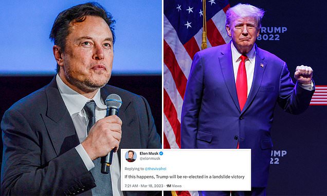 Elon Musk says Trump will win by LANDSLIDE in 2024 if arrested