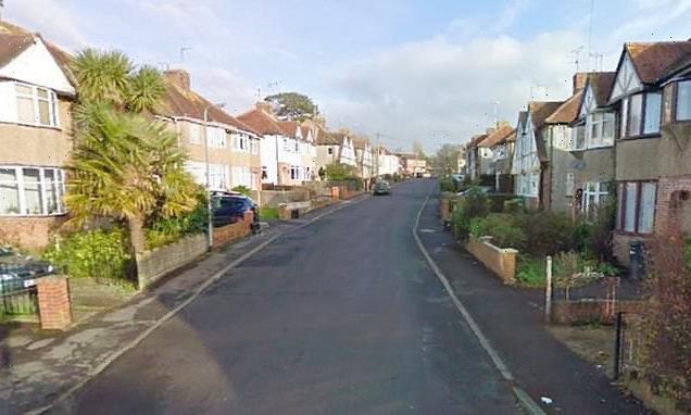 Mother fights off man who tried to snatch her eight-year-old son