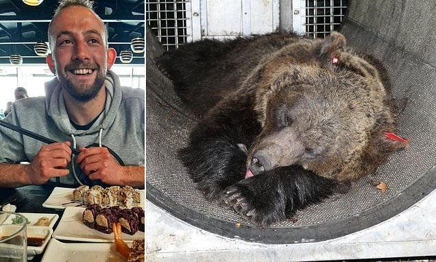 Bear that killed an Italian jogger, 26, previously mauled two hikers