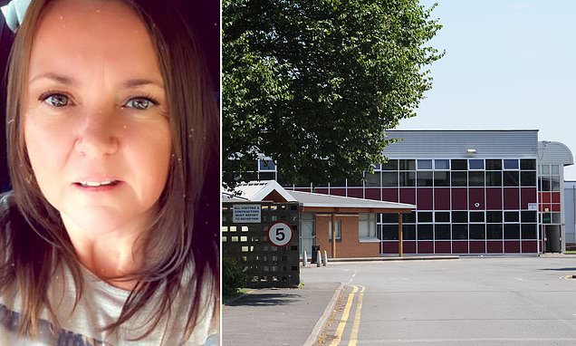 English teacher, 40, is struck off after swearing at school pupils