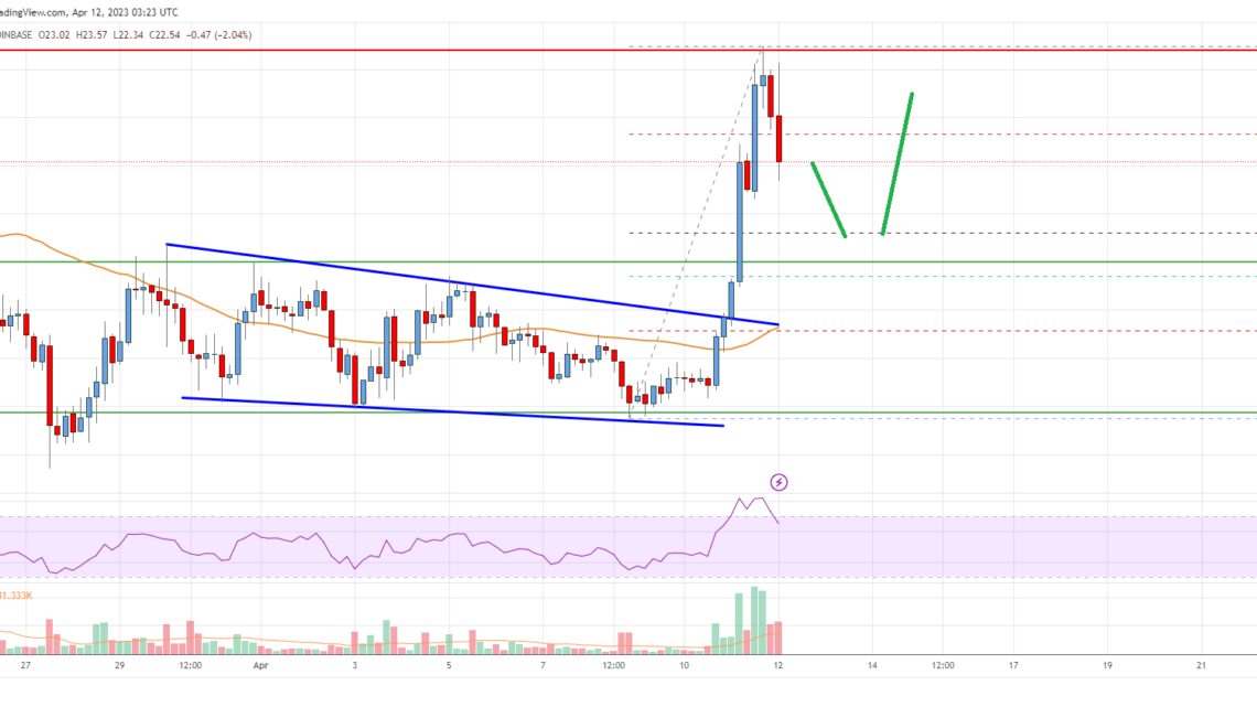 Solana (SOL) Price Analysis: Dips Turn Attractive Near $22