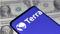 Terra Classic Down 4%, Developer Accuses Terraport Of Rugpull