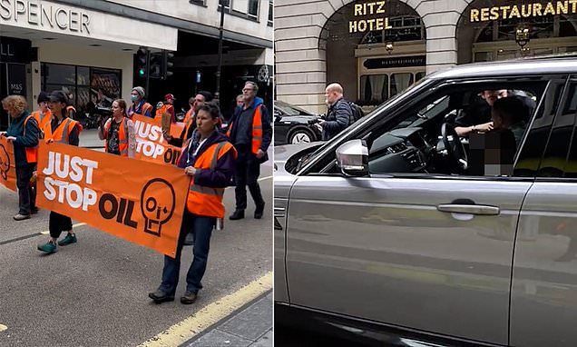 Driver with child in car shouts &apos;c**ts*&apos; at Just Stop Oil activists