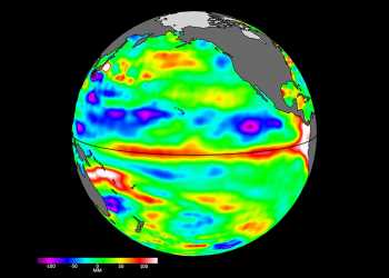 International Sea Level Satellite Spots Early Signs Of El Nino
