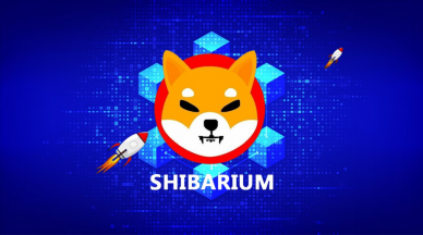 SHIB: Latest Shiba Inu Update Could Be A Game Changer