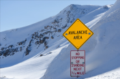 Avalanche Rumbles With 18% Gain – Trend Reversal Coming?