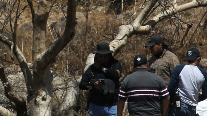 Bodies of eight call centre workers found in bags after they tried to quit their job