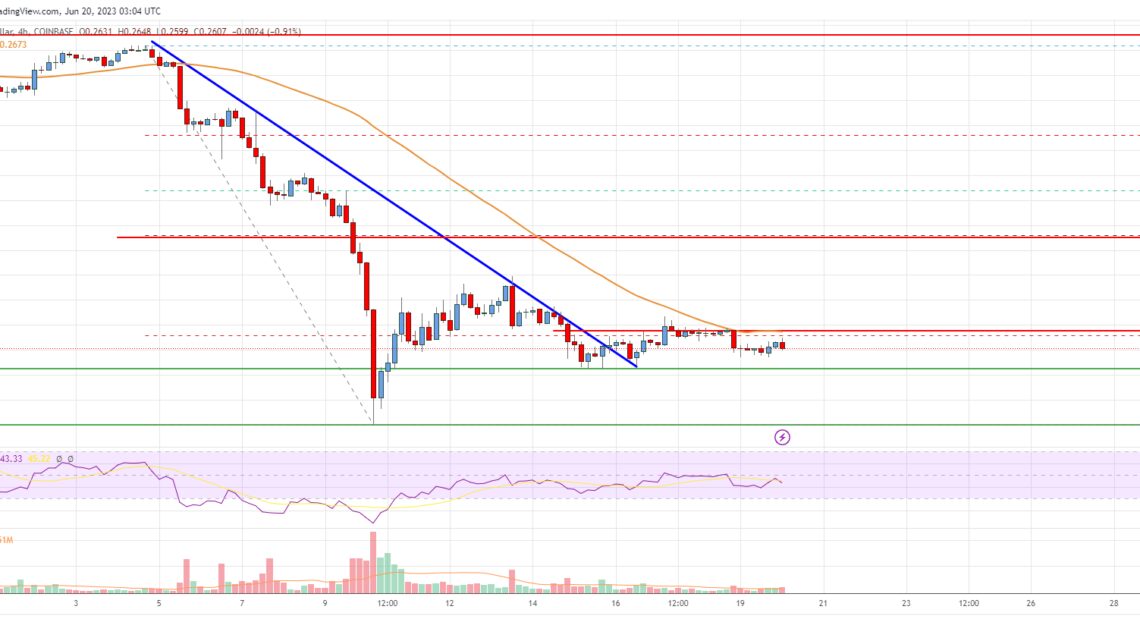 Cardano (ADA) Price Analysis: Recovery Possible Above This Resistance