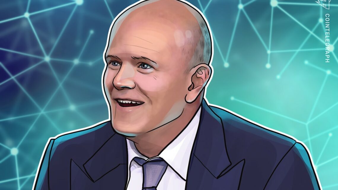 Crypto markets ‘lackadaisical’ as institutional buying slows — Novogratz