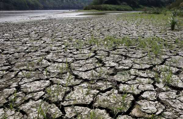 El Nino biggest immediate risk for the markets; not priced in yet: Analysts