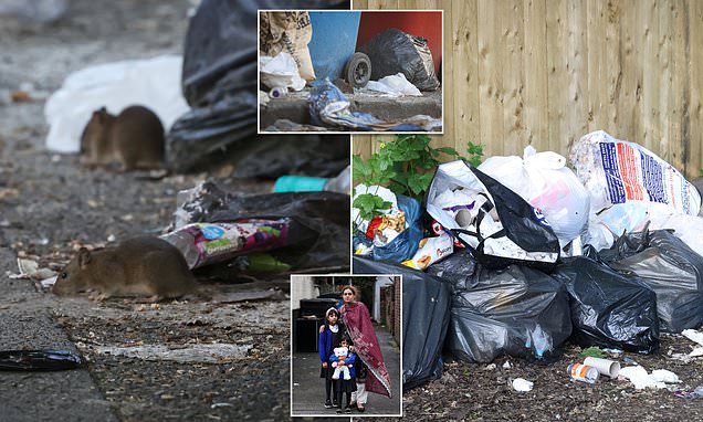 Locals describe life on rat-infested litter-lined street in Manchester
