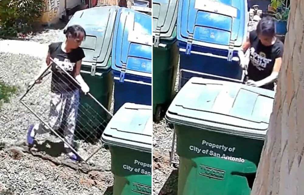 Our petty neighbour built a fence just to separate our rubbish bins – so I took amazing revenge | The Sun
