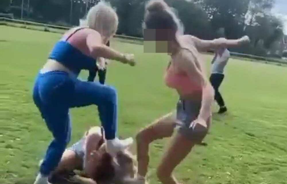 Shocking moment teen is kicked to the ground before two girls stamp on her in terrifying park attack | The Sun