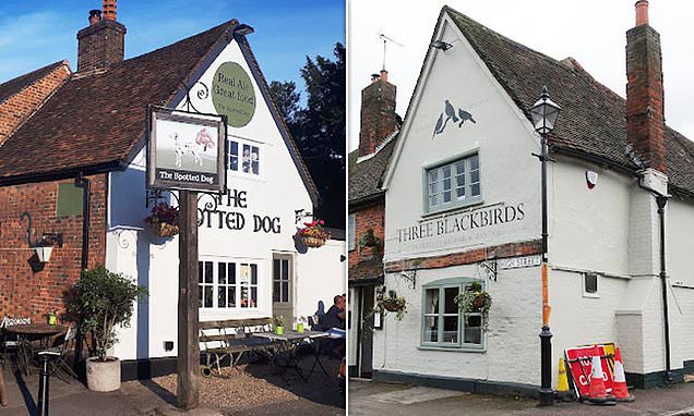 Two of the three remaining pubs in Hertfordshire village close