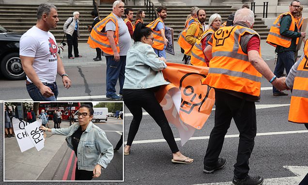 Desperate woman pleads with Just Stop Oil to get out the road