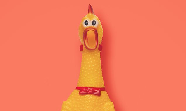IT boss who moaned of staff hurling rubber chickens losses dismal case
