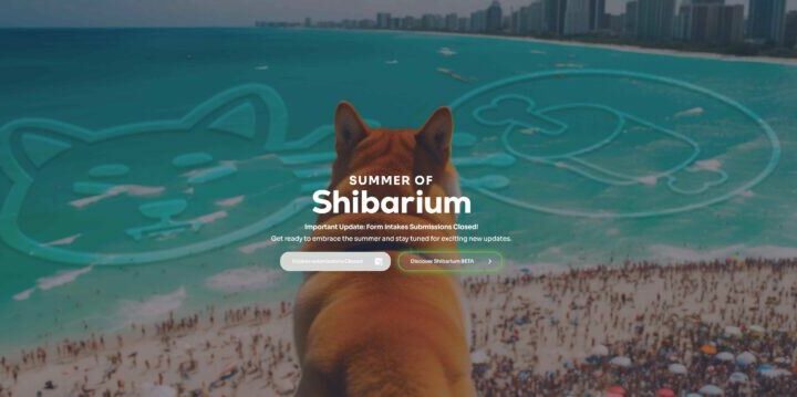 $LEASH Power Unleashed in Shiba Inu Ecosystem