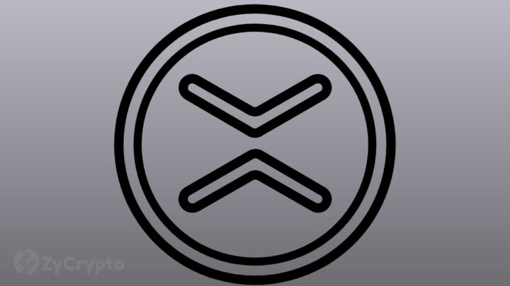 SEC To Win An Appeal Against Ripple? Former SEC Official Cautions XRP Celebrations