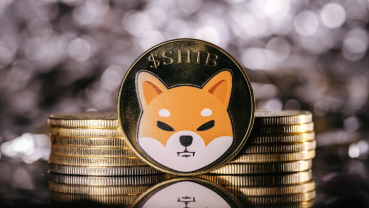 Shiba Inu Lead Teases Shibarium Launch: SHIB Price Targets